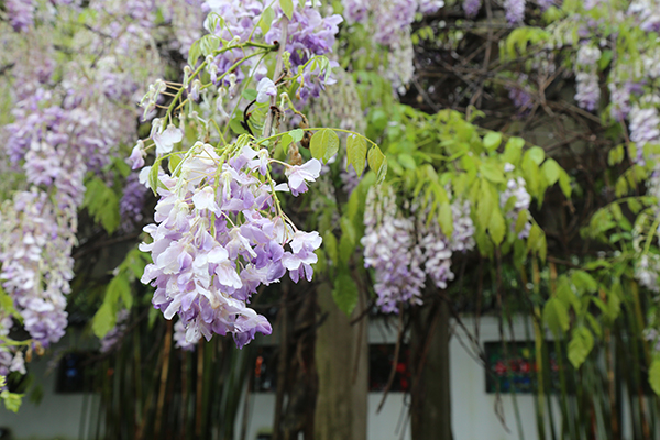 纪念馆景点